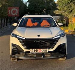 دونج فينج ماج